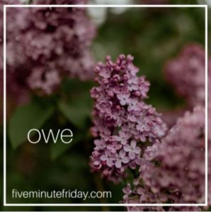 A photo of purple lilac flowers against a green background, with the word "owe" superimposed.